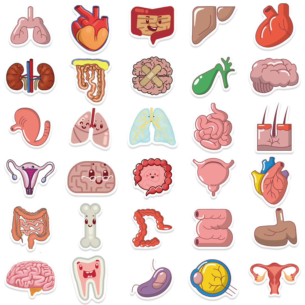 New 10 65Pcs Cartoon Human Organ Cute Medical Anatomy Sticker Laptop Bicycle Guitar Phone Kid Toy DIY Graffiti Waterproof Stickers