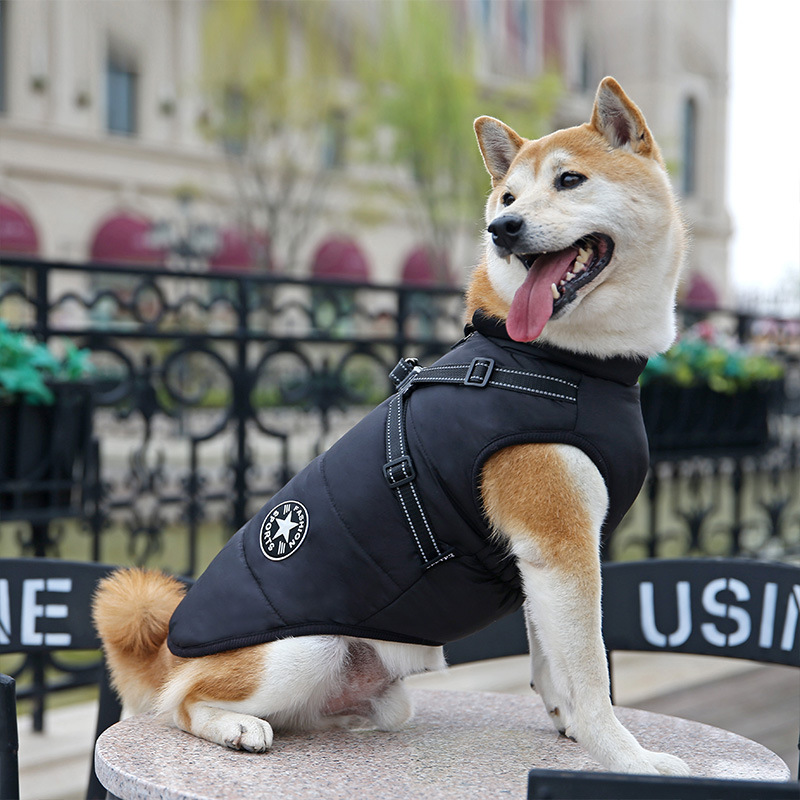 New Amazon Cross border Dog Clothes, Chest and Back Integrated Cotton Vest, Pet Cotton Clothes, Winter Clothes, Thickened Two Leg Cotton Clothes