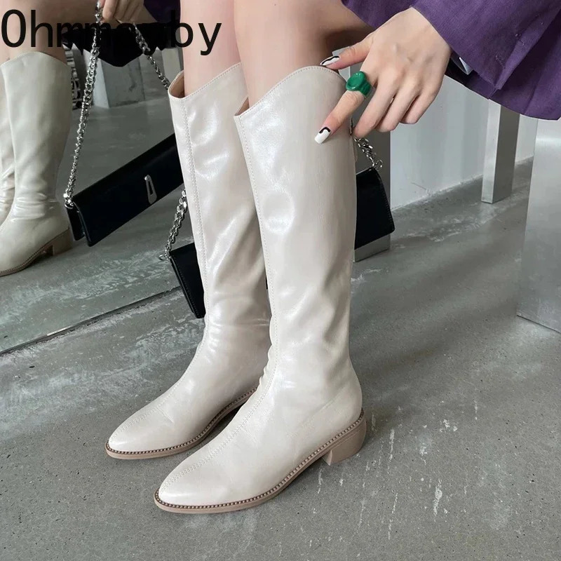 Women Knee High Boots Fashion Elegant Pointed Toe Side Zippers Shoes Square Heel Womens Western Cowgirl Booties 241030