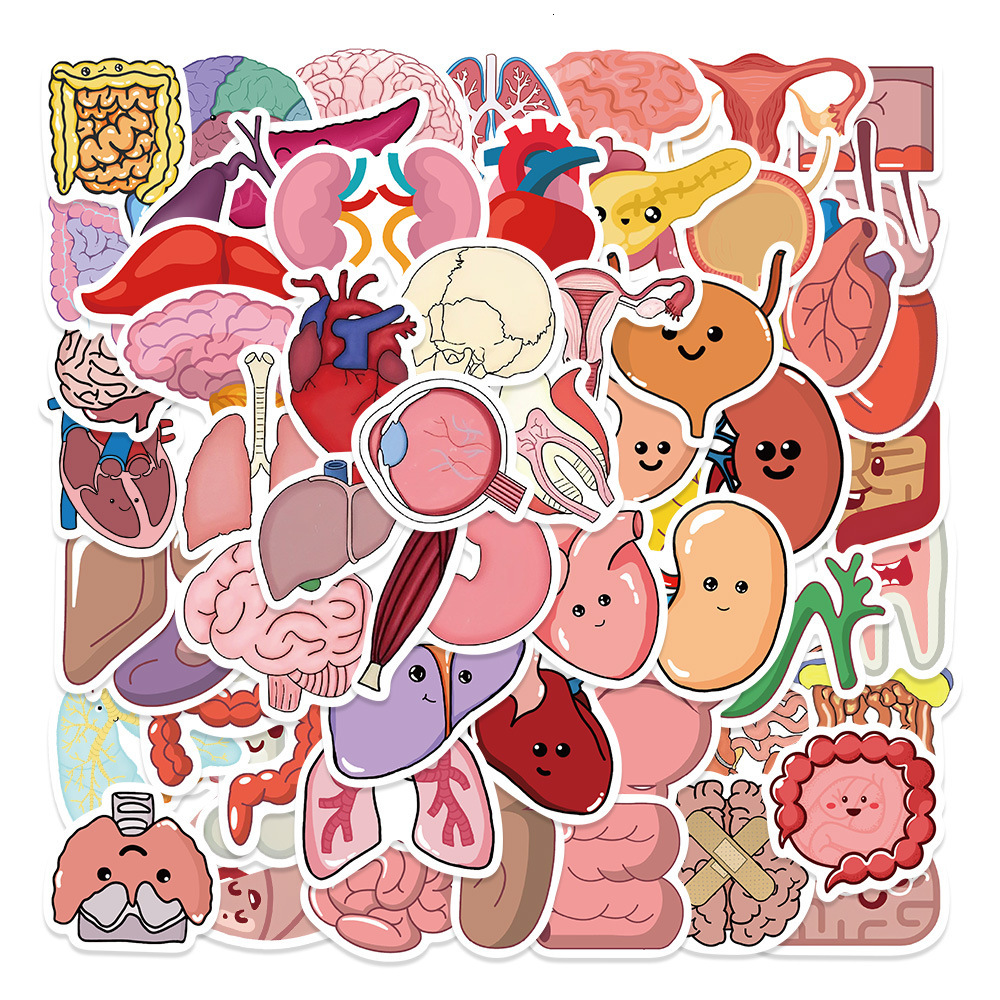 New 10 65Pcs Cartoon Human Organ Cute Medical Anatomy Sticker Laptop Bicycle Guitar Phone Kid Toy DIY Graffiti Waterproof Stickers