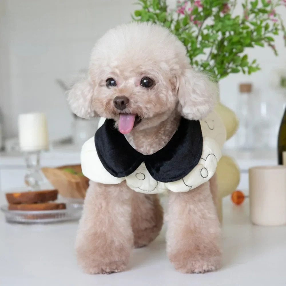 Autumn Winter Pet Plush Lapel Coat Dog Warm Skirt Clothes Teddy for Small Dogs 241028