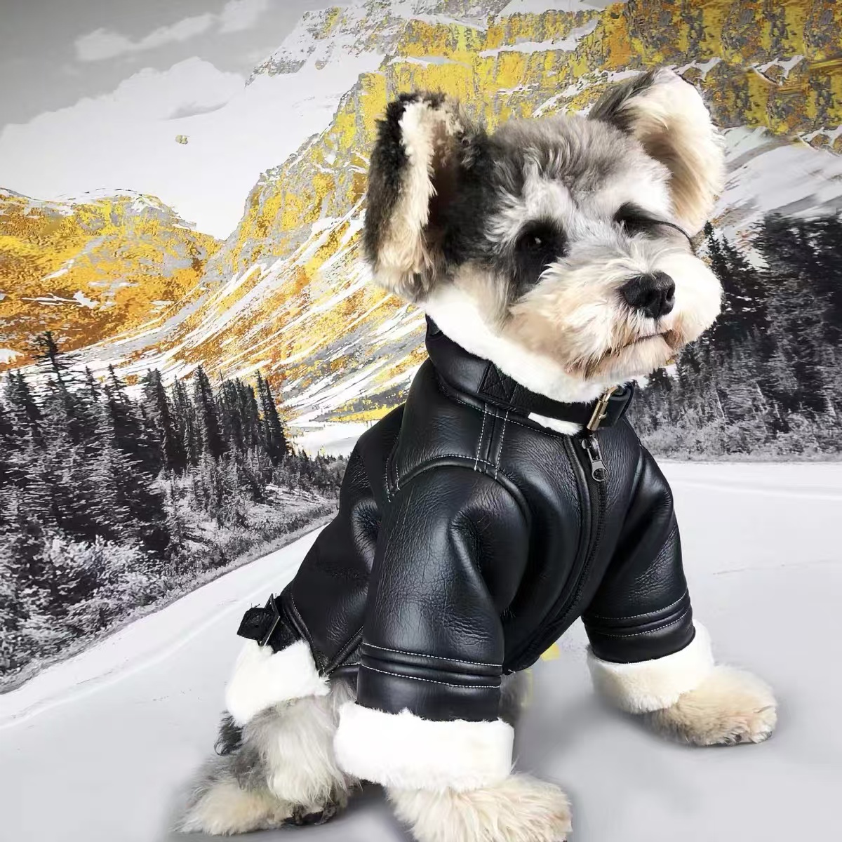 Autumn Winter Dog Puffer Jacket Luxury Designer Dog Down Plush Coat Black Pu Leather Clothes
