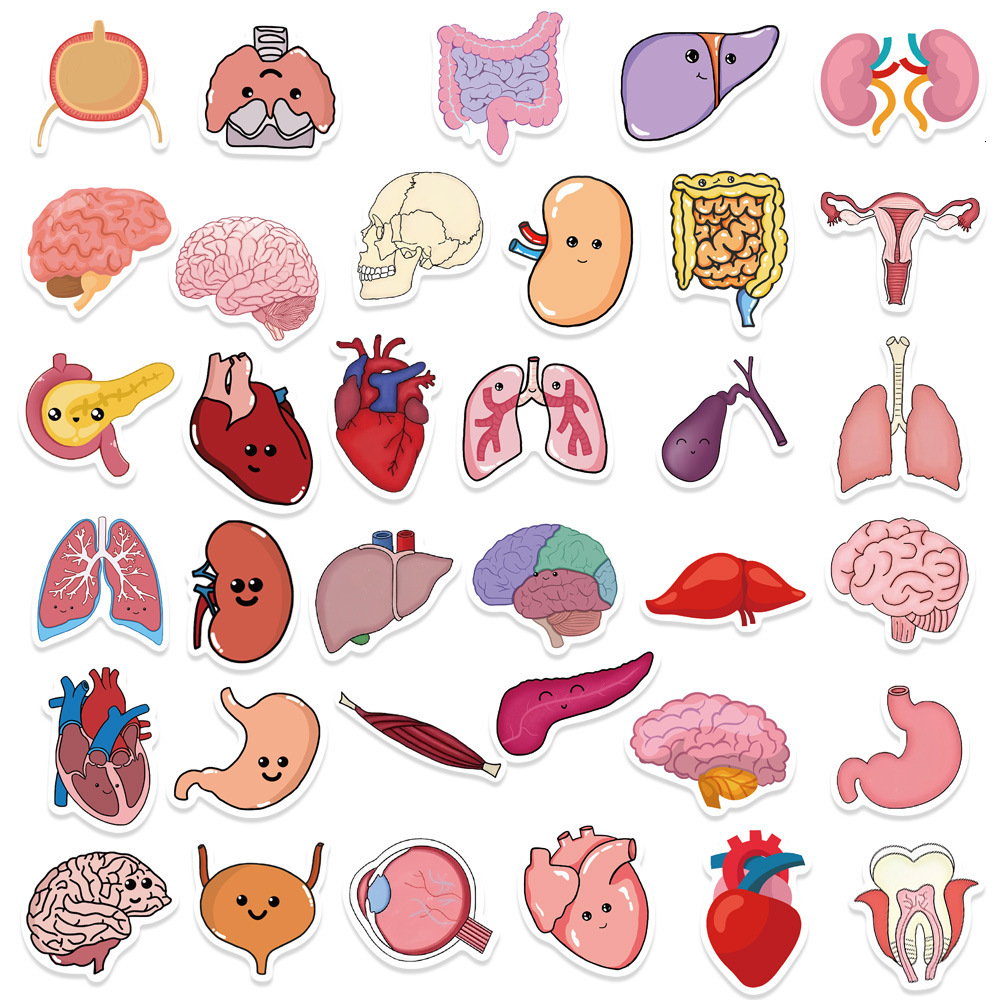 New 10 65Pcs Cartoon Human Organ Cute Medical Anatomy Sticker Laptop Bicycle Guitar Phone Kid Toy DIY Graffiti Waterproof Stickers
