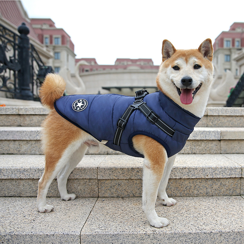 New Amazon Cross border Dog Clothes, Chest and Back Integrated Cotton Vest, Pet Cotton Clothes, Winter Clothes, Thickened Two Leg Cotton Clothes