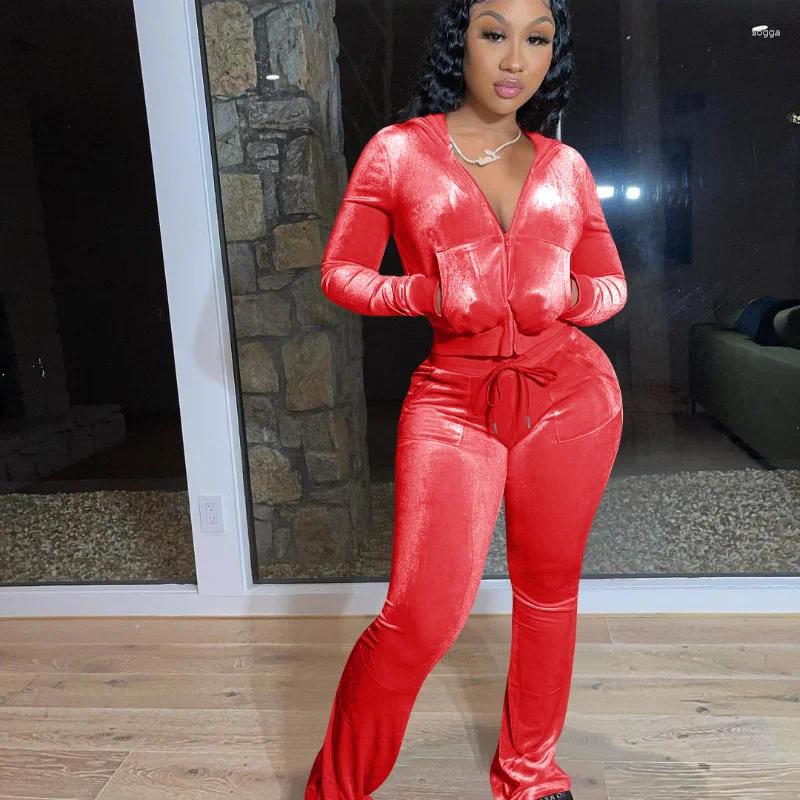 Womens Tracksuits Europe And The United States Multi-color Casual Gold Velvet Pocket Hoodie Zipper Sweater Wide Leg Pants Two-piece Suit