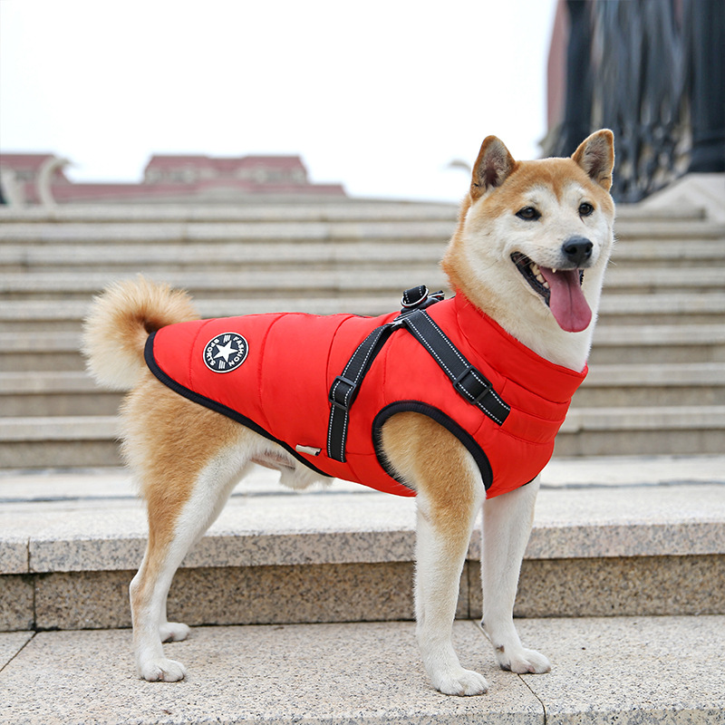 New Amazon Cross border Dog Clothes, Chest and Back Integrated Cotton Vest, Pet Cotton Clothes, Winter Clothes, Thickened Two Leg Cotton Clothes