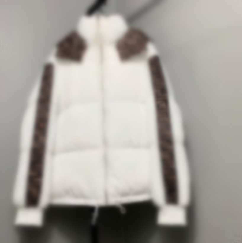 Mens Down Jackets new Design Puffer Jacket Women's Outdoor Windbreakers Parka Couple hooded Collar Warm Outerwear Coat