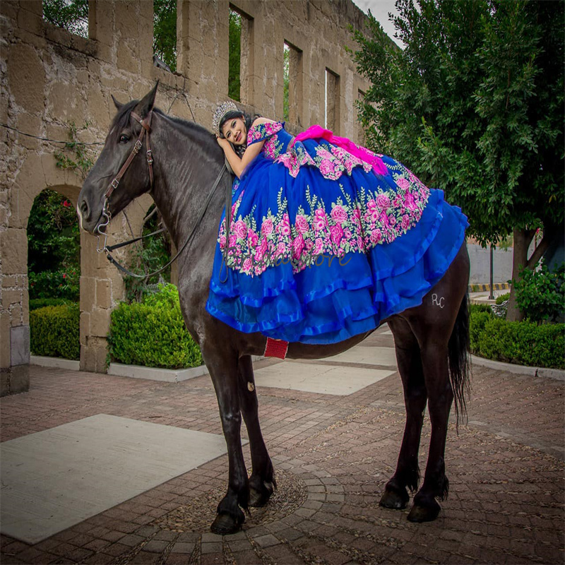 Blue Mexican Flower Quinceanera Dress Vestidos De 15 Quinceanera Corset xv anos Charro Plus Size Birthday Party Gowns Prom Para Vestidos Debutantes Ma