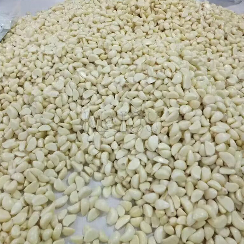 Automatic 30kg/h Stainless Steel Garlic Peeler Machine Garlic Peeling Machine