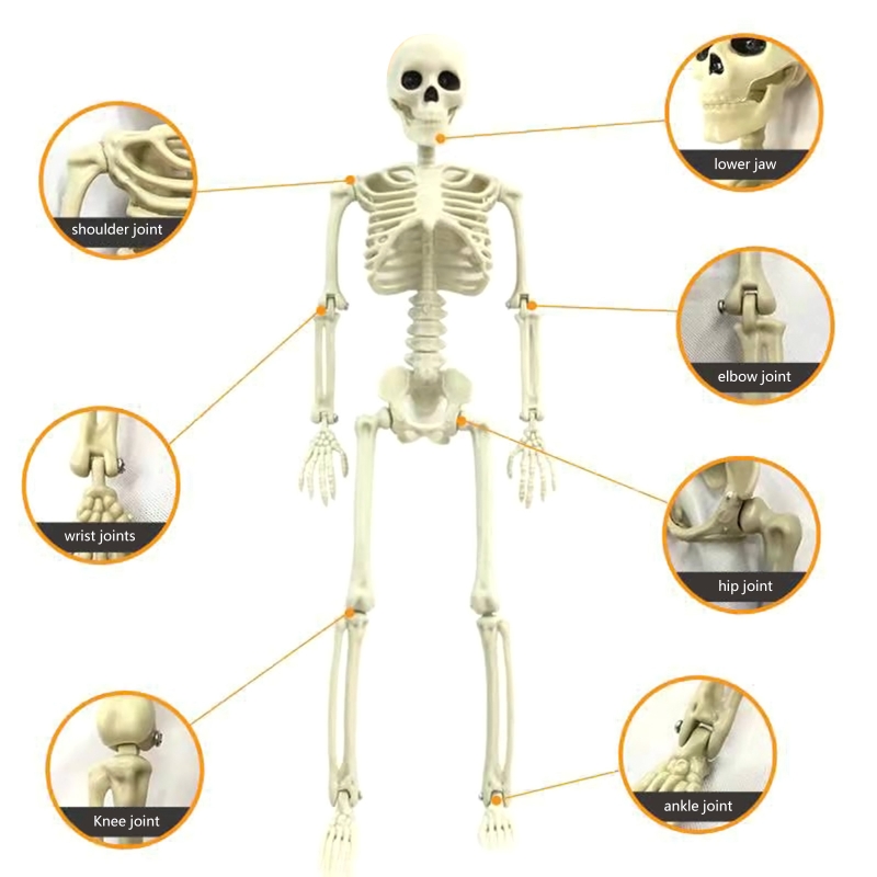 Finger Toys 40cm Novelty Action Figure Skulls Kids Adults Prank Toys Horror Moveable Joint Skeleton Halloween Party Scary Hanging Decoration