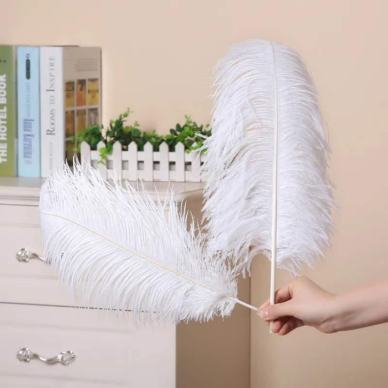 100Pcs/lot Party Decor Natural White Ostrich Feathers 20-25cm Colorful Feather Decoration Wedding Plumage Decorative Celebration Wholesale