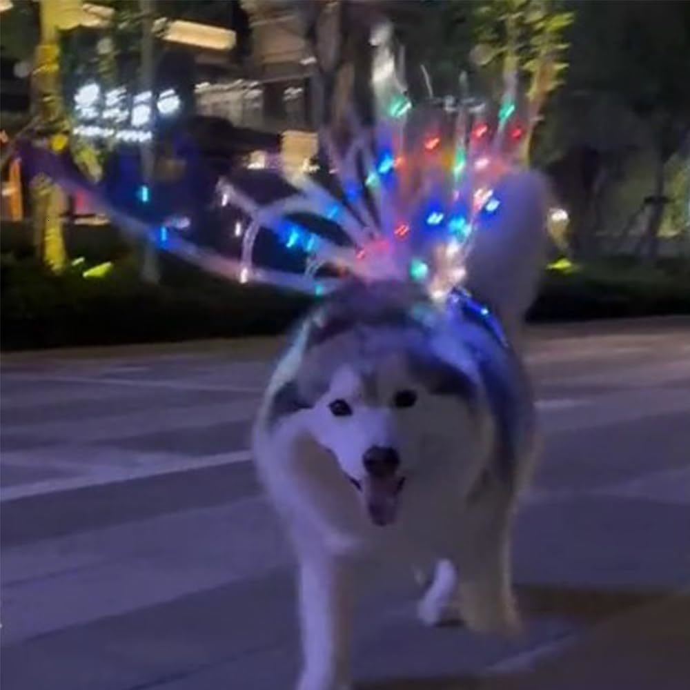 Dog Collars Leashes Light Up Fairy Wings for Dogs Electric Glowing Musical Butterfly with Led String Lights Pet Party Favor Dress 230906