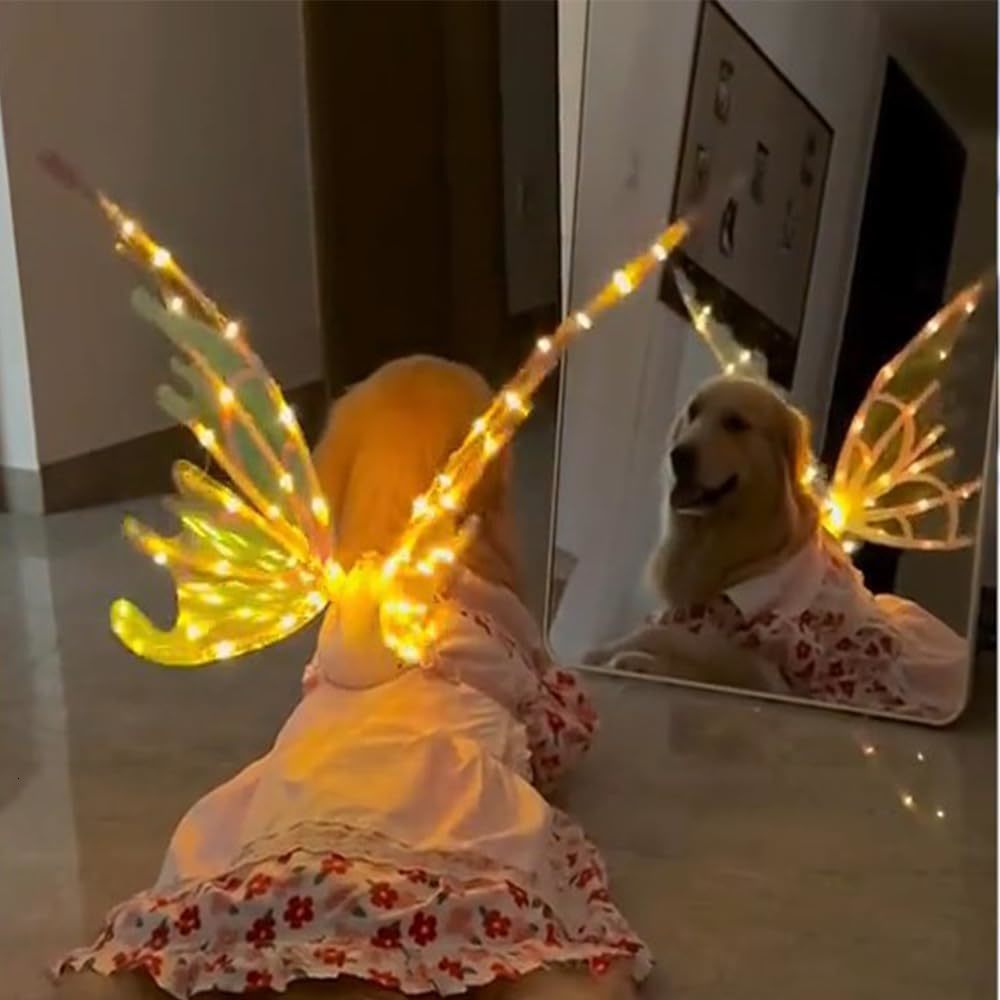 Dog Collars Leashes Light Up Fairy Wings for Dogs Electric Glowing Musical Butterfly with Led String Lights Pet Party Favor Dress 230906