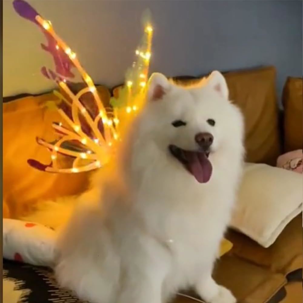 Dog Collars Leashes Light Up Fairy Wings for Dogs Electric Glowing Musical Butterfly with Led String Lights Pet Party Favor Dress 230906