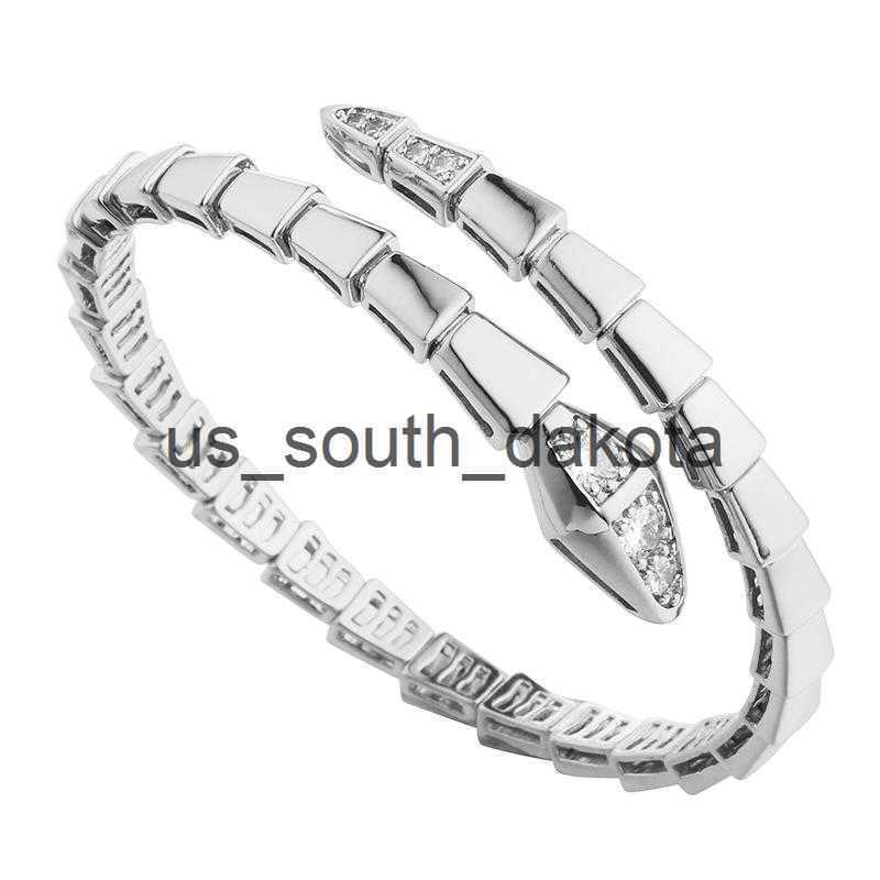 Chain Charm Bracelets Bone Women Open Adjustable For Stainless Steel Men Micro Diamond BraceletsCharm x0909
