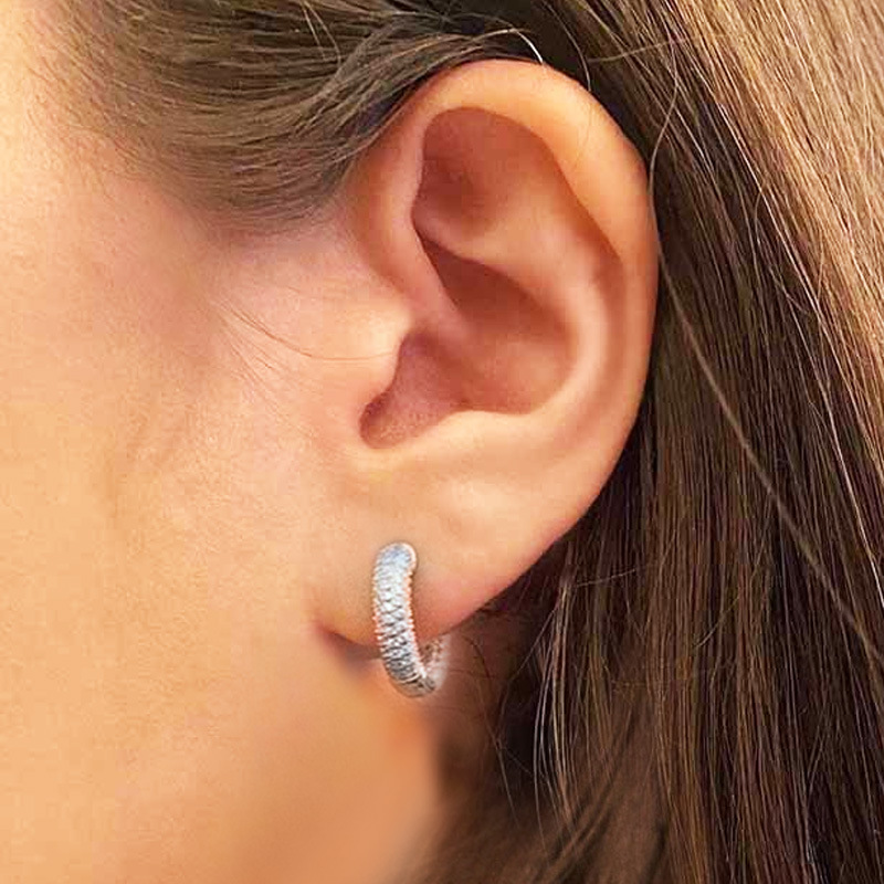Men Women Blingbling Earrings Gold Silver Color Full CZ Diamond Earrings Hoop Punk Rock Hip Hop Jewelry