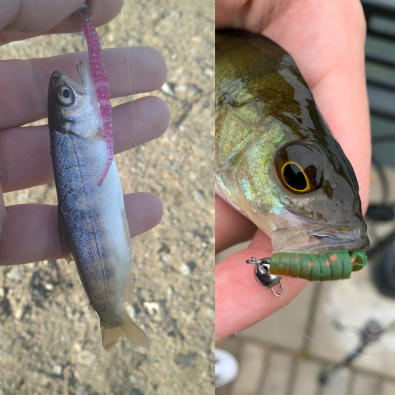 Baits Lures Supercontinent Fishing Soft Worm Ice Bait Polaris Sinking Lure Pesca Tackle 230911
