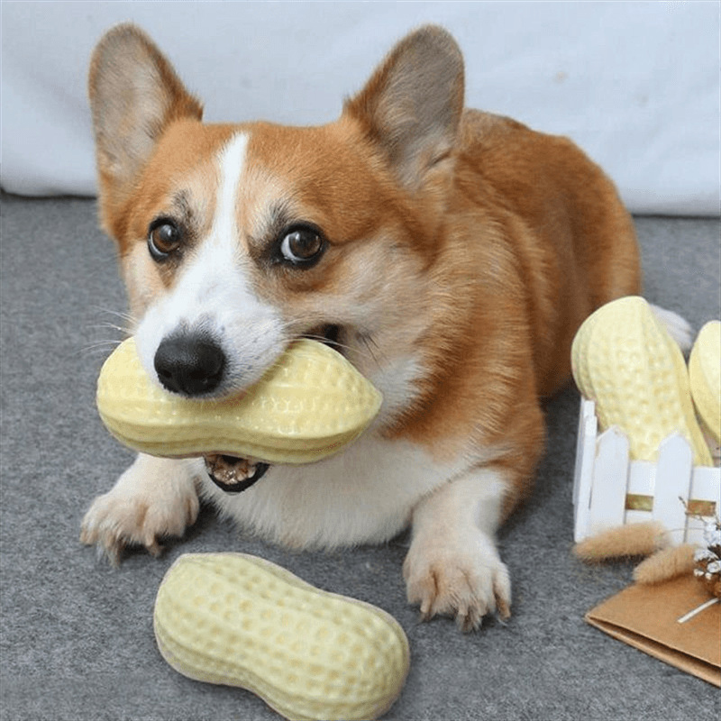 Funny Pets Toys Squeaky Peanut Shape Teeth Cleaning Squeak Dog Chew Toys For Puppy Pet Supplies