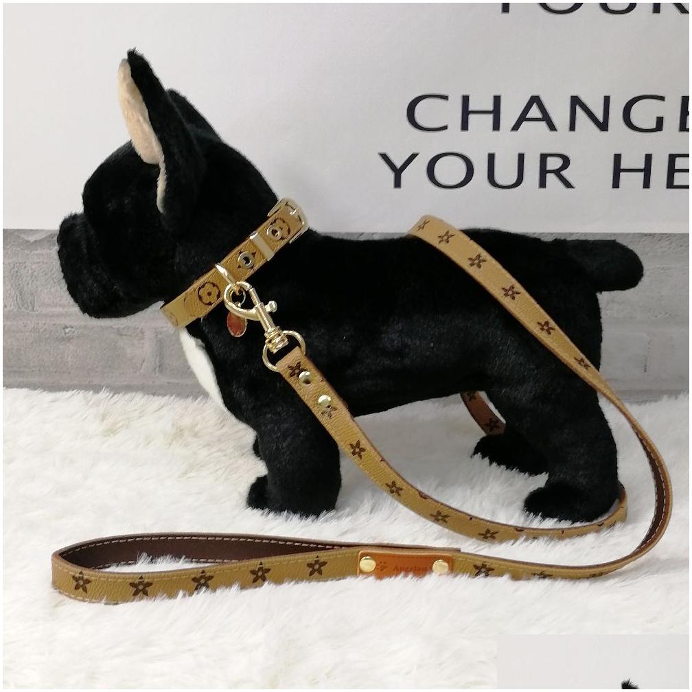 Leather Multi-Color Dog Walking Kit Adjustable Presbyopic Leather Collar with Secure Handle
