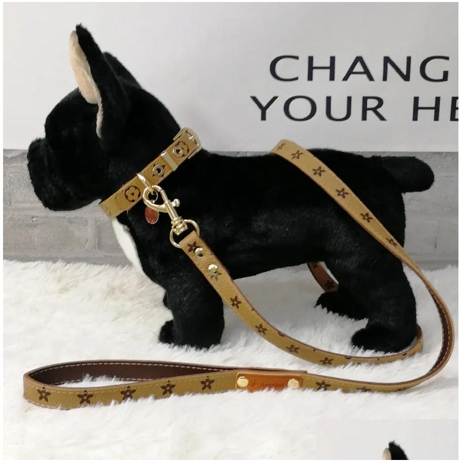 Leather Multi-Color Dog Walking Kit Adjustable Presbyopic Leather Collar with Secure Handle