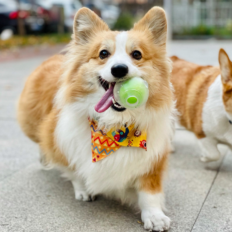 Dog Toys Chews CAITEC Toy Amazing Squeaker Ball Durable Floatable Springy Bite Resistant for Tossing Chasing Foraging Medium Large 230919