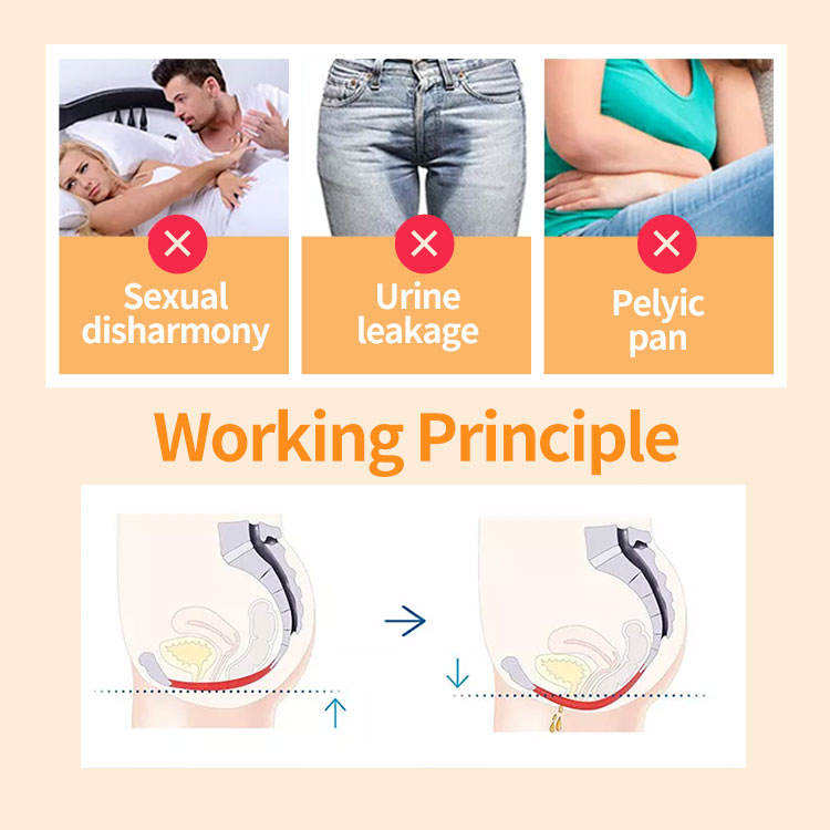 Strengthen Inner Pelvic Floor Muscles Stimulation Machine Postpartum Repair Training Chair