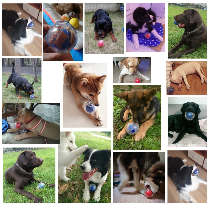 Dog Toys Chews CAITEC Toy Amazing Squeaker Ball Durable Floatable Springy Bite Resistant for Tossing Chasing Foraging Medium Large 230919