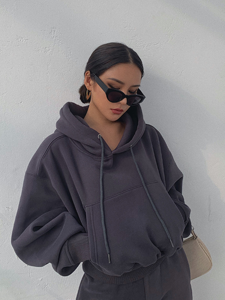 Women's Two Piece Pants Hoodies Suit Winter Spring Solid Casual Tracksuit Women Fleece 2 Pieces Set Sports Sweatshirts Pullover Sweatpants Wholes
