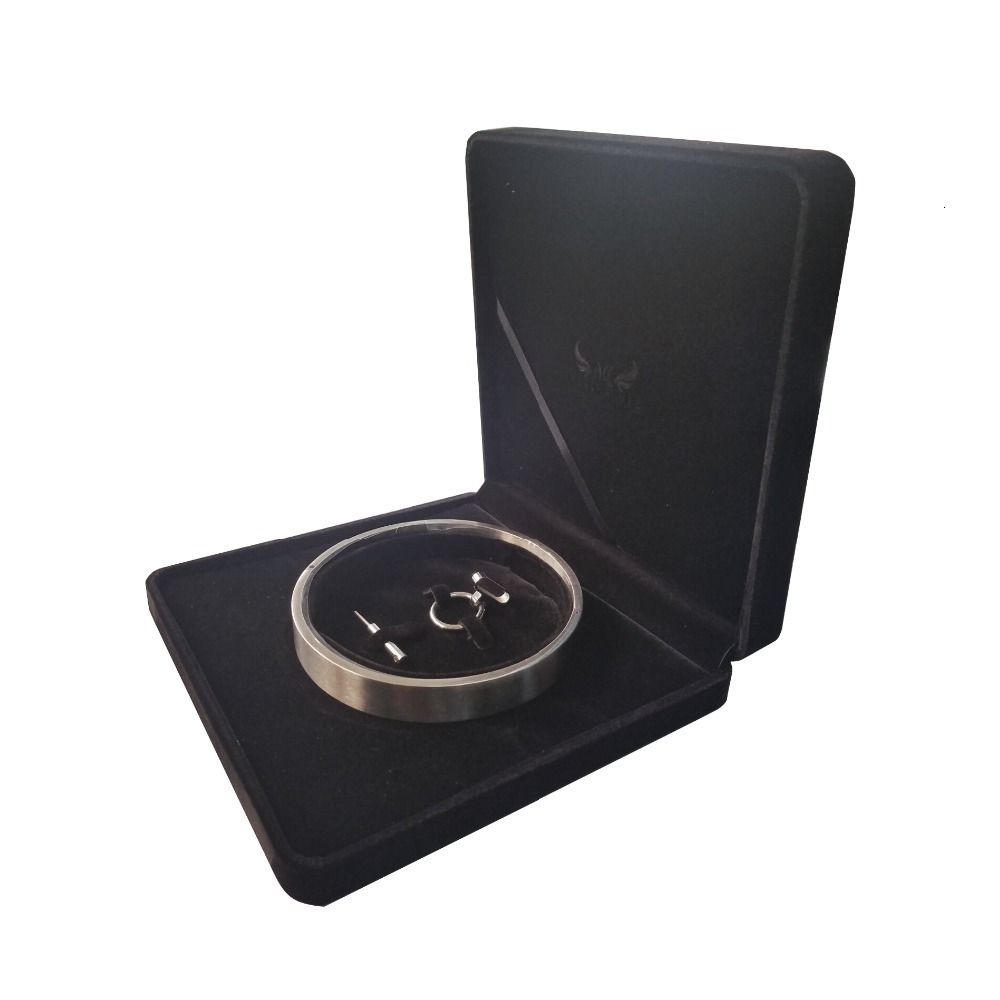 Chokers brushed stainless steel slave collar locking choker necklace fetish wear torque role playing jewelry 230921