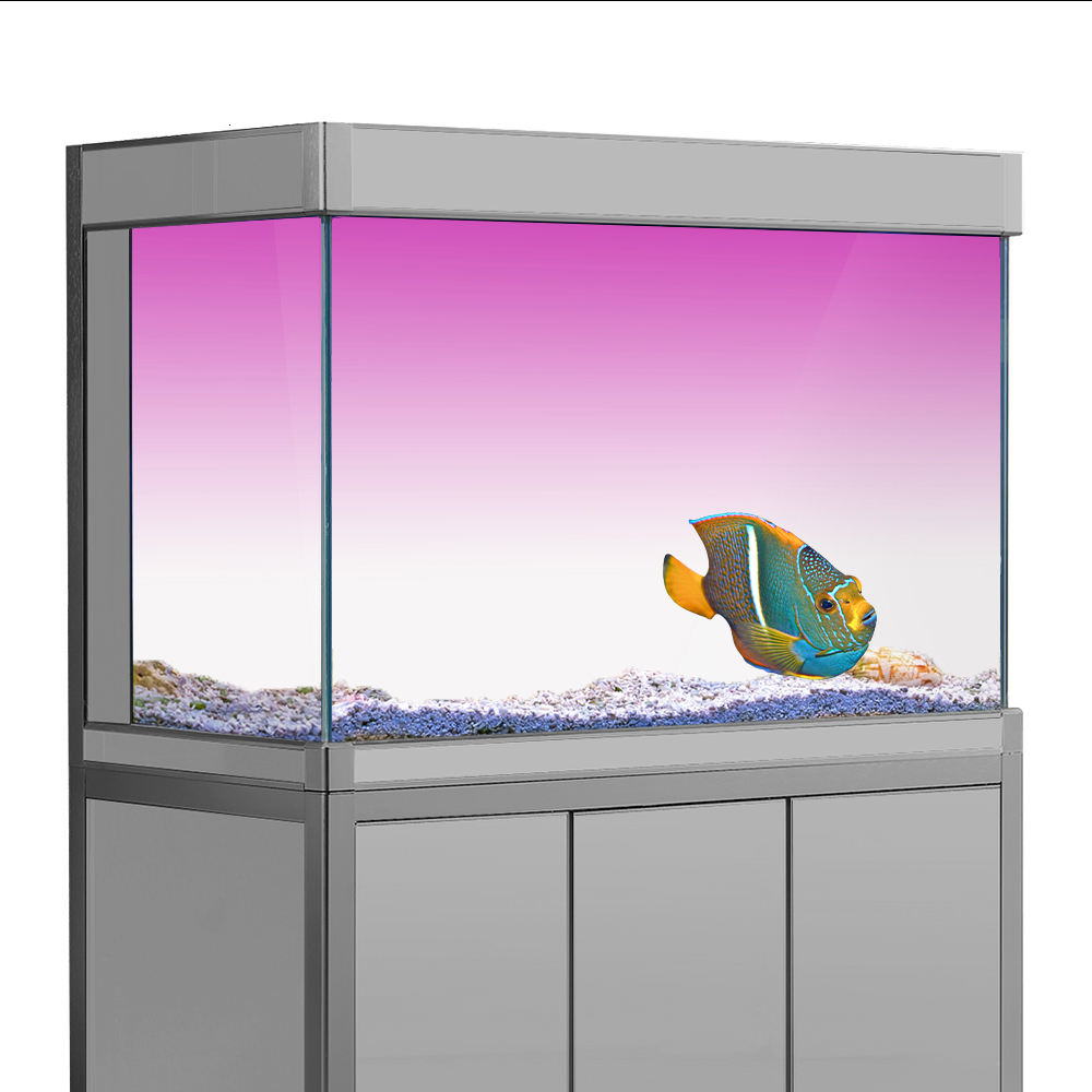 Aquariums Fish Tank Background Sticker White Yellow Green Blue Cyan Gradient Simple Printing Wallpaper Aquarium Backdrop Decorations PVC 230923