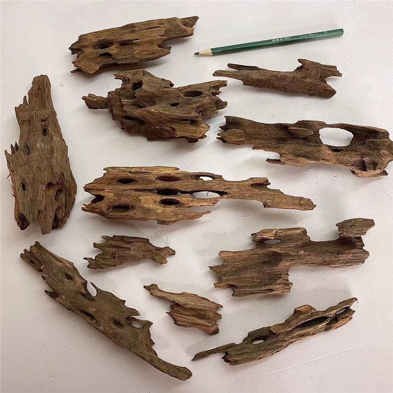 Aquariums Fish Tank Natural Porous Wood Driftwood Ornament for Aquarium Decoration Hermit Crabs Shrimp Fish Aquarium Accessories 230925