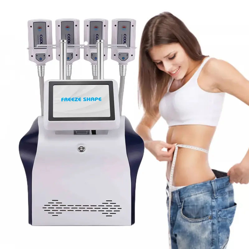 Professional Cryolipolysis Fat Freezing Machine 4D Cryolipolysis Ems Weight Loss Slimming Body Shaping Fat Reduction Equipment