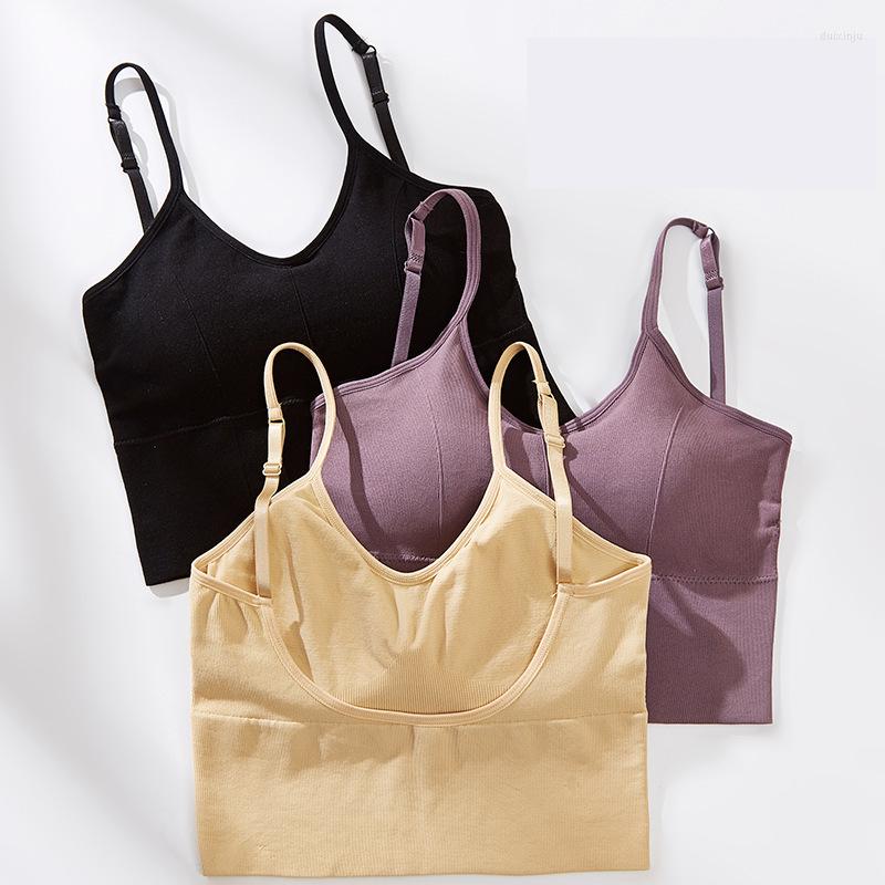 Camisoles & Tanks Plus Size Seamless Sports Bra CamisolesTanks, Purple 
Camisoles & Tanks Plus Size Seamless Sports Bra CamisolesTanks, Purple