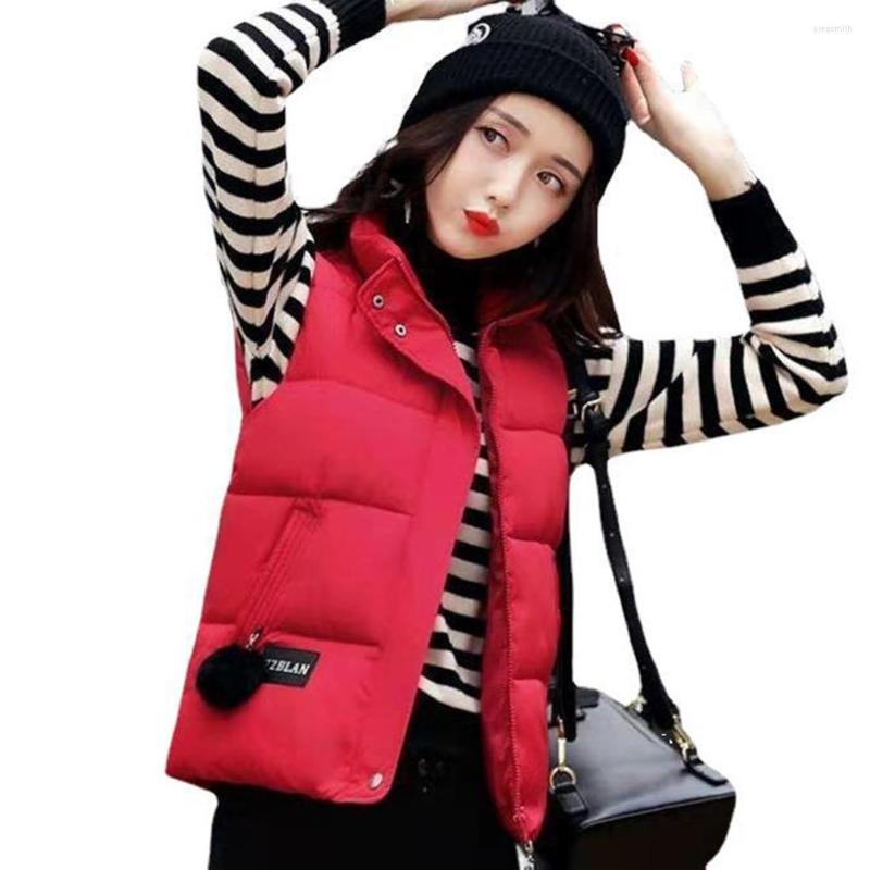 Women' Vests Chic Winter Warm Coat Jacket Solid Color Stand Collar Padded Puffer Vest Sleeveless Coldproof Windproof Outwear, Black
Women' Vests Chic Winter Warm Coat Jacket Solid Color Stand Collar Padded Puffer Vest Sleeveless Coldproof Windproof Outwear, Black