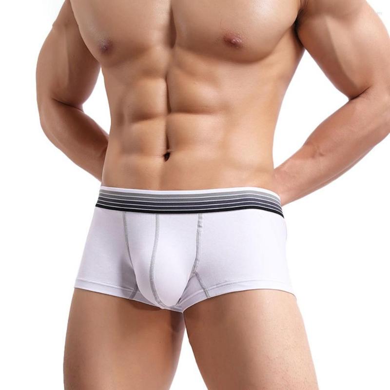 Underpants Separatec Men Boxershorts Soft Separate Pouch Underwear Long Leg Boxer Solid Breathable Bugle Panties A50, White
Underpants Separatec Men Boxershorts Soft Separate Pouch Underwear Long Leg Boxer Solid Breathable Bugle Panties A50, White