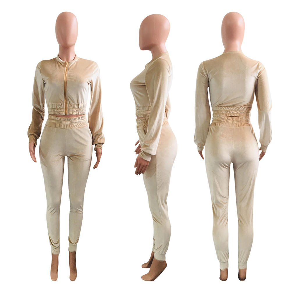 Fall Winter Velvet Tracksuits Women Sweatsuits Long Sleeve Velour Jacket and Pants Two Piece Sets Outwork Outfits Casual Jogger suits Sporswear 8555