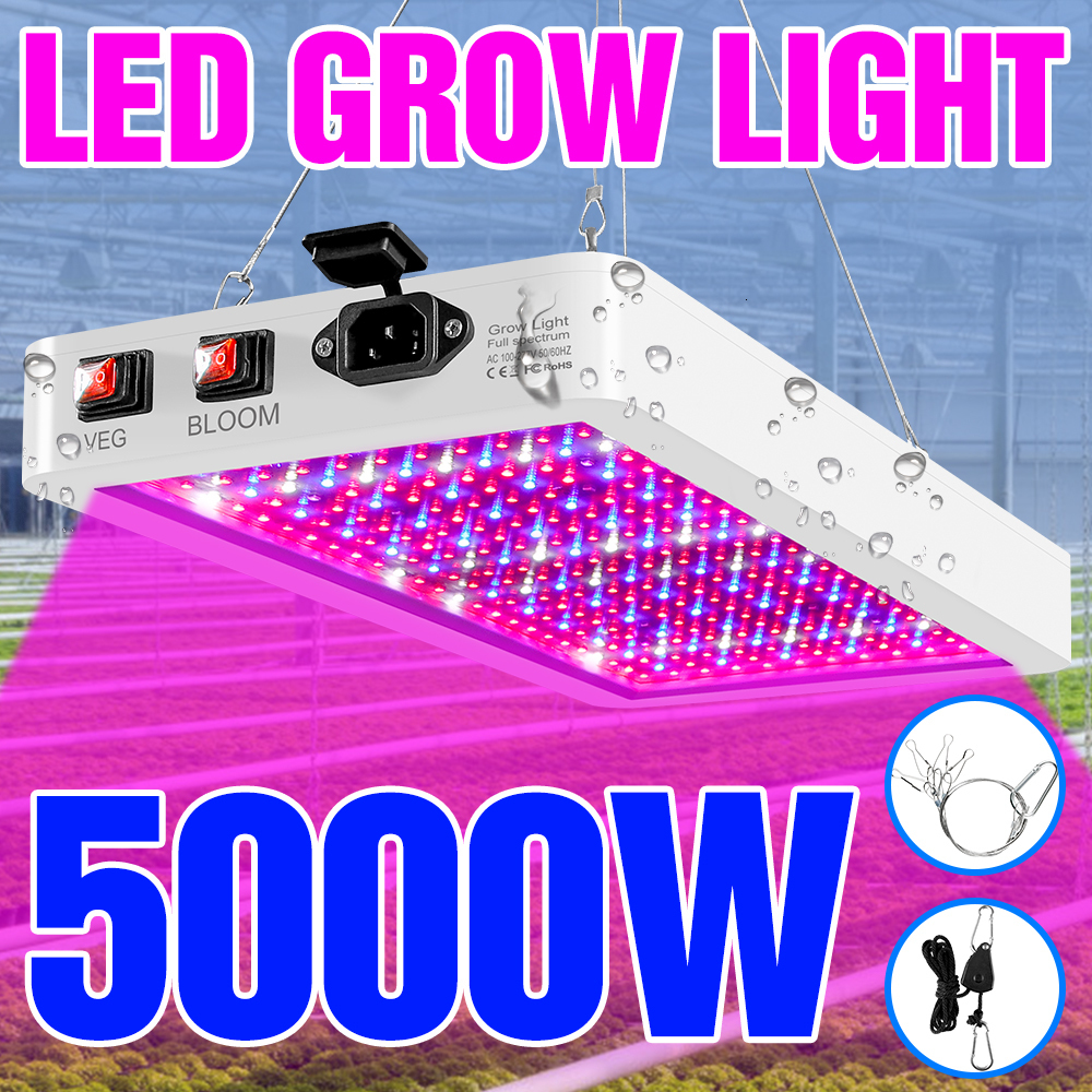 Ultraviolet disinfection lamp LED Plant Lamp 220V Grow Light Phytolamp Indoor Lighting Lampara Panel 110V Full Spectrum Greenhouse Flower Seeds Tent B