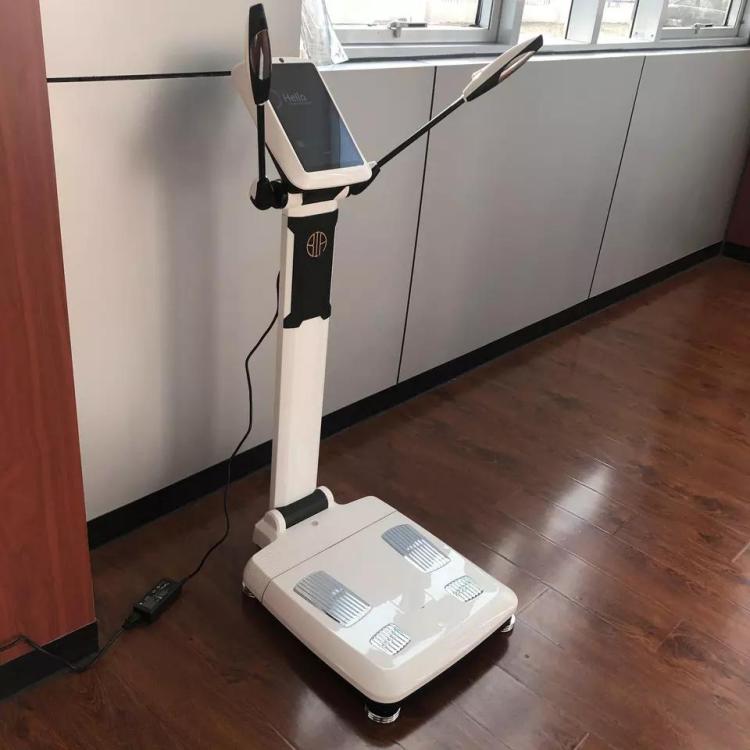Wholesale Body Weight Scales smart Body composition analyzer Fat Biochemical Analysis BMI 3D Digital Scan touch screen Machine