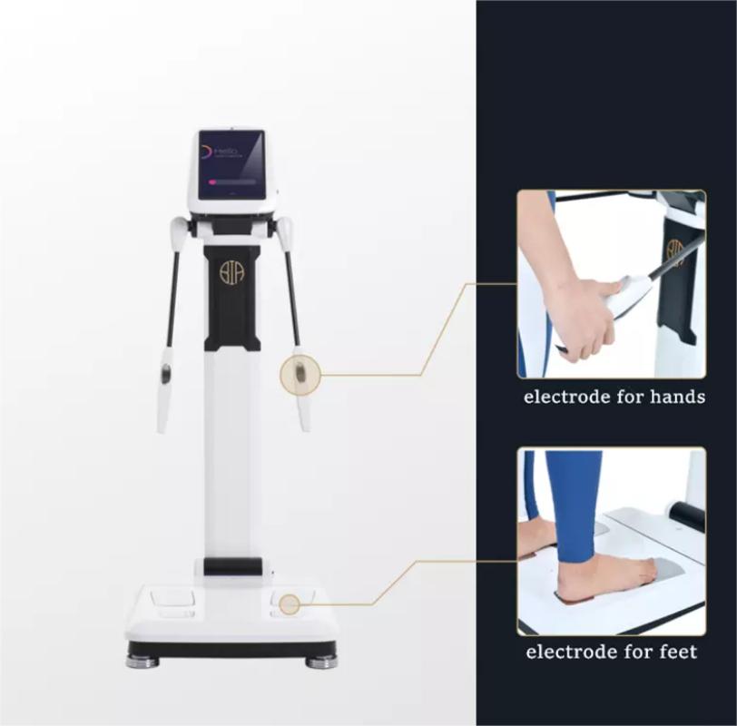 Latest Body Weight Scales smart Body composition analyzer Fat Biochemical Analysis BMI 3D Digital Scan touch screen Machine
