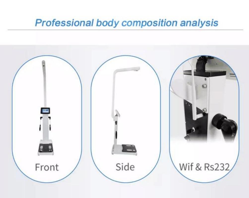 Wifi Body Weight Scales High accurate Full body BMI analyzer for nutrition centers /Human body composition analyzer Device