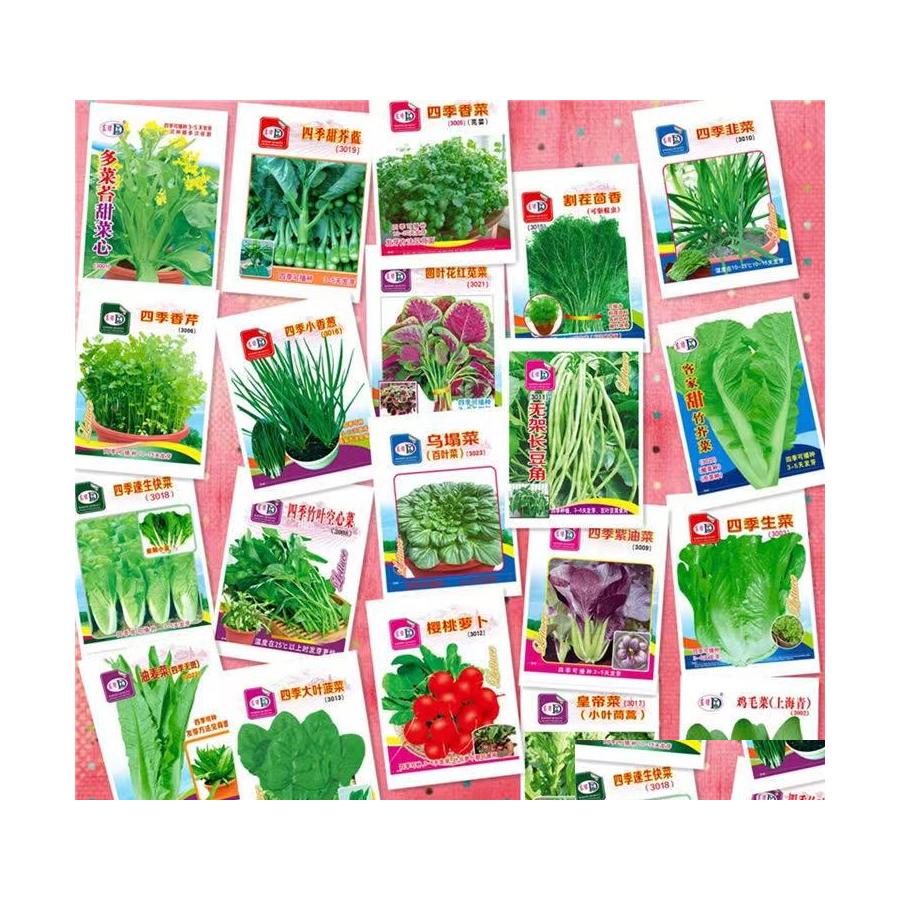 Planters Pots 10Kinds Of Vegetable Seeds 5000Pcs 20Packs/Lot Different Seed Very Fresh And Delicious Chinese Food For Garden Suppl Ot1Vt
Planters Pots 10Kinds Of Vegetable Seeds 5000Pcs 20Packs/Lot Different Seed Very Fresh And Delicious Chinese Food For Garden Suppl Ot1Vt