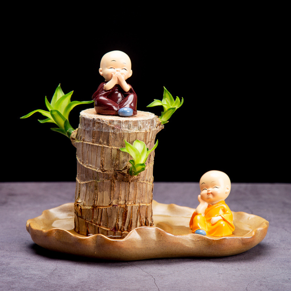 Cute Lucky Wood Plant Home Decor Brazil Wood Hydroponic Water Potted Tree Stump Mini Plant Indoor Office Home Desk Decor6118823