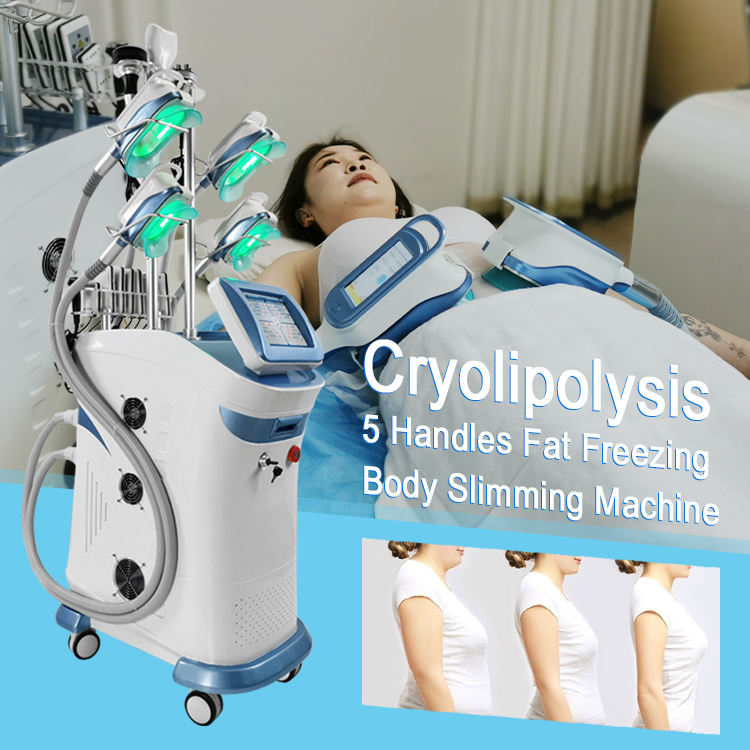 Fat freezing machine freez cryo cavitation vacuum belly removal machine cryotherapy body slimming 360 cryolipolysis
Fat freezing machine freez cryo cavitation vacuum belly removal machine cryotherapy body slimming 360 cryolipolysis