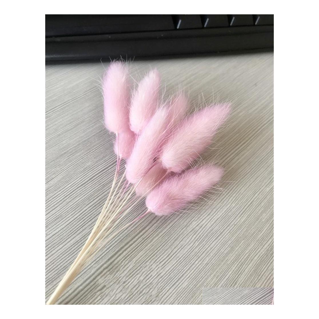 Decorative Flowers Wreaths Kitchen Living Room Colorf Bouquet Hare Tail Grass Dried Flower A Bunch Of 10 Branches Diy Home Ornamen Dhxju, As show
Decorative Flowers Wreaths Kitchen Living Room Colorf Bouquet Hare Tail Grass Dried Flower A Bunch Of 10 Branches Diy Home Ornamen Dhxju, As show