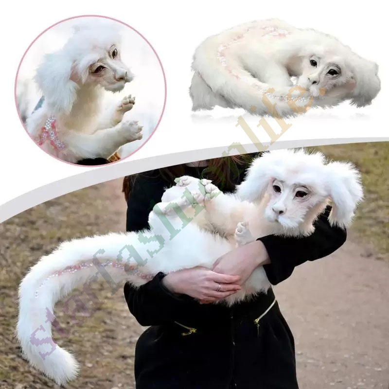Decorative Objects & Figurines 40cm Falkor Never Ending Story Plush From The Neverending Doll Toys Gift For Kids Adluts
Decorative Objects & Figurines 40cm Falkor Never Ending Story Plush From The Neverending Doll Toys Gift For Kids Adluts