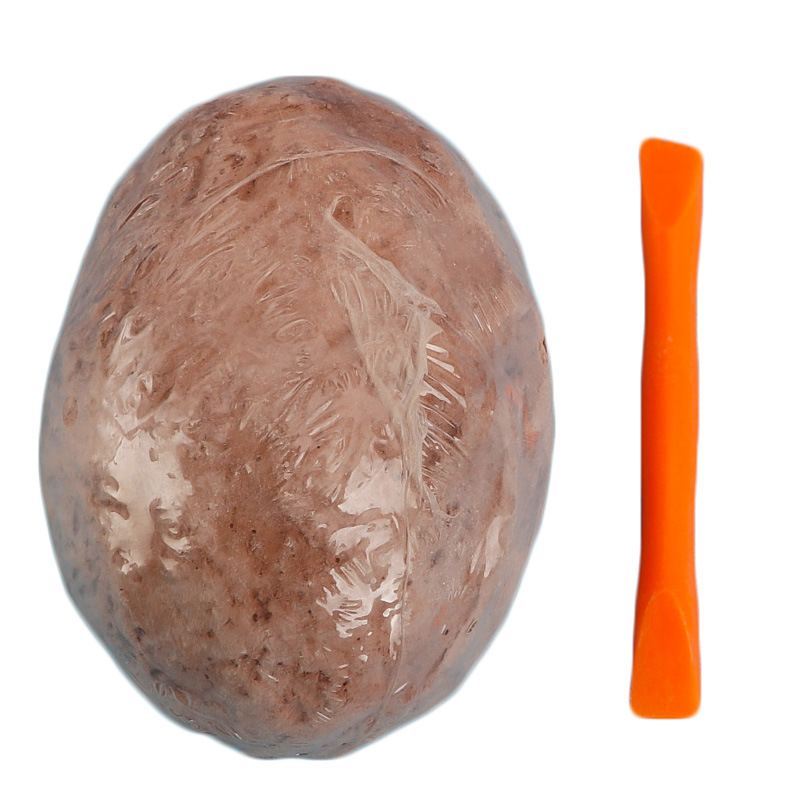Dinosaur Egg Fossil Dig Up Kit Science Discovery Dinosaurs Fossils Skeletons Kids Archaeology Toy Learning Educational Toys STEM Gifts