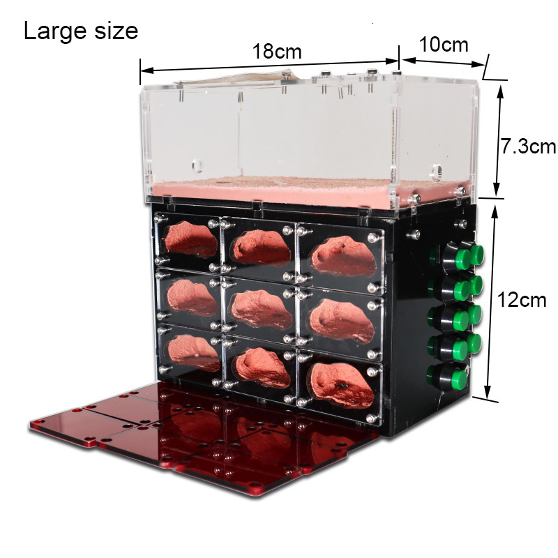 Small Animal Supplies Ecological Ant Farm with Independent Lights Control Anthill Ants Nest Living House Concrete Insect el Workshop hun 230130
