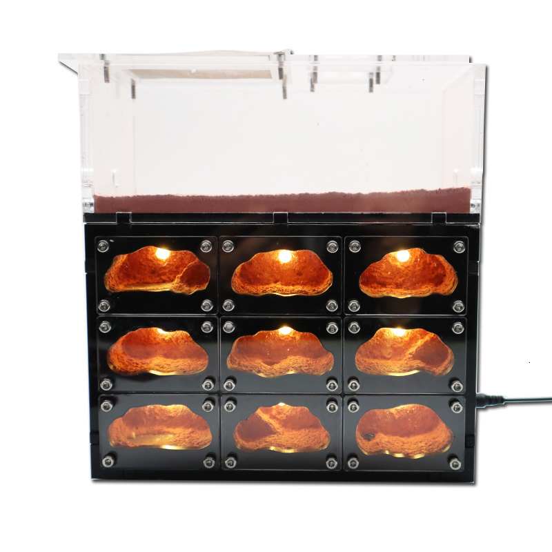 Small Animal Supplies Ecological Ant Farm with Independent Lights Control Anthill Ants Nest Living House Concrete Insect el Workshop hun 230130