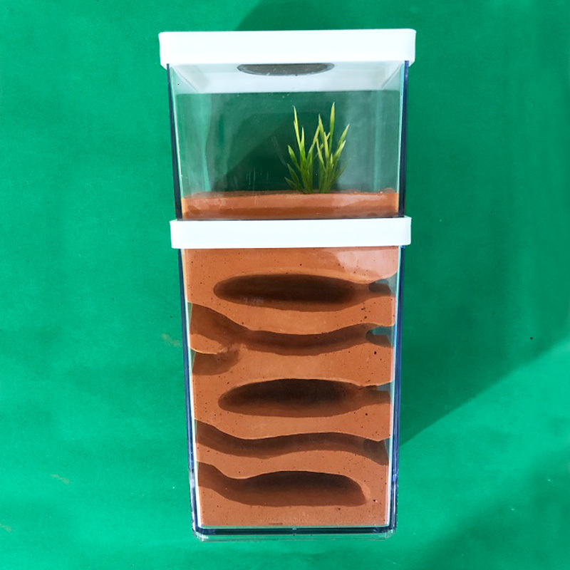 Small Animal Supplies Plaster Ant Farm High Moisture Insect el Castle Ecological Nest Pet hill Workshop House Village with Feeding Area hun 230130