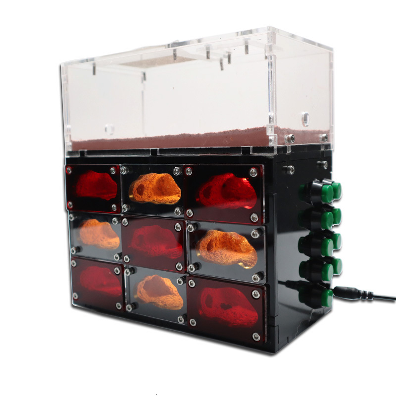 Small Animal Supplies Ecological Ant Farm with Independent Lights Control Anthill Ants Nest Living House Concrete Insect el Workshop hun 230130